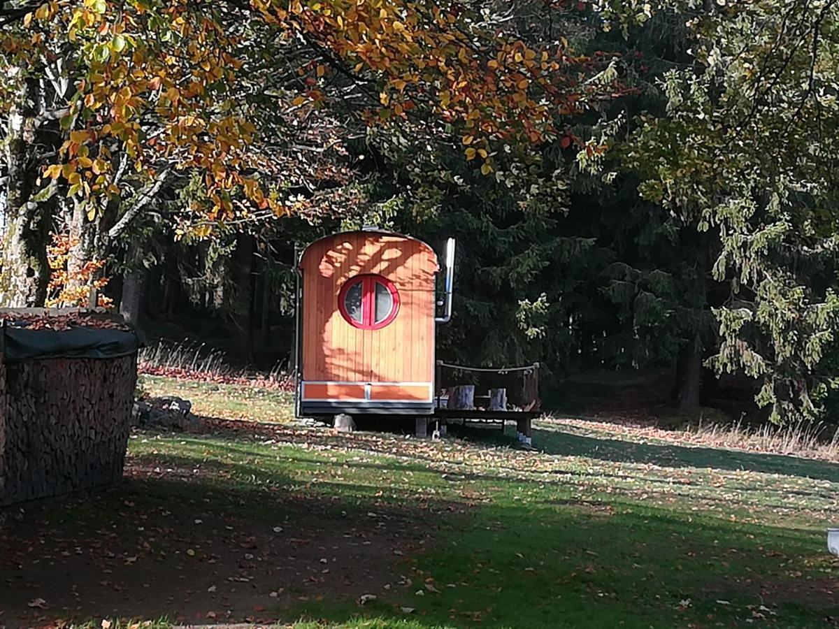 Benno der Zirkuswagen Tettau Exterior foto